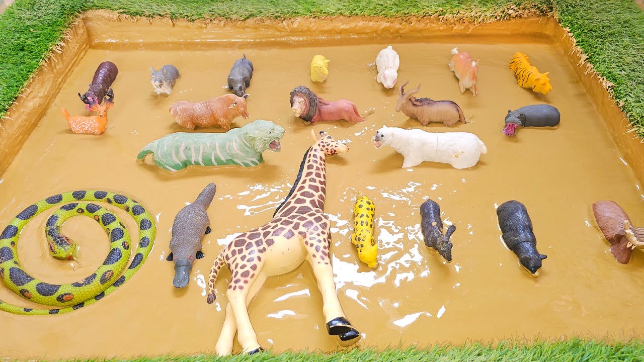 Deep in Danger: Dramatic Rescues of Pets and Wildlife from Sticky Mud!