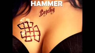 Video voorbeeld van "Witch hammer - Cejchy (2015)"