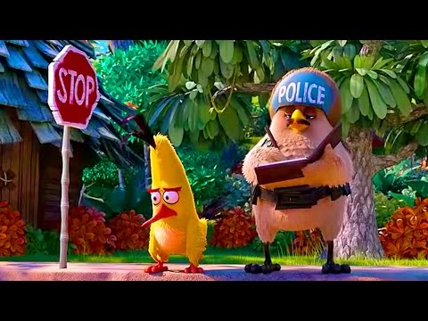 Escena de Chuck  en LATINO (Angry Birds Movie 2016) HD 1080p