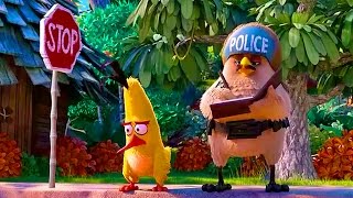 Escena de Chuck  en LATINO (Angry Birds Movie 2016) HD 1080p