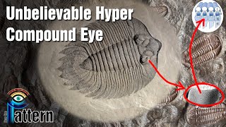 Unbelievable Trilobite Hyper Compound Eye screenshot 5