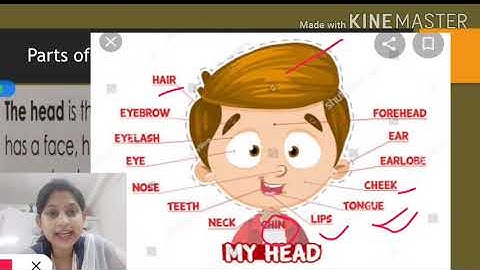 My body # class 1C# 2 june@ SFS Narengi