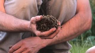 How to make compost using your wheelie bin in 30 days...episode 4