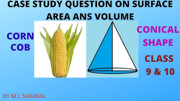 Case study question from chapter surface area and volume, of conical corn cob, class 9 and 10
