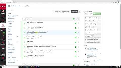 CSUN Plagiarism Review for assignments in Canvas