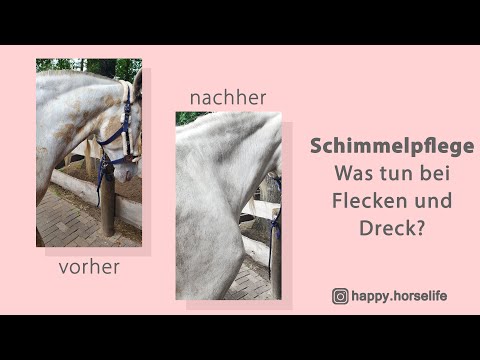 Schimmelpflege - Was tun bei Flecken und Dreck? | sauber machen und sauber halten | meine Tipps