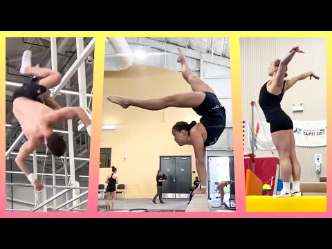 New Cheng Amanar Moors On The Way Amazing ONE ARM Save Beam Handstands Need An Upgrade