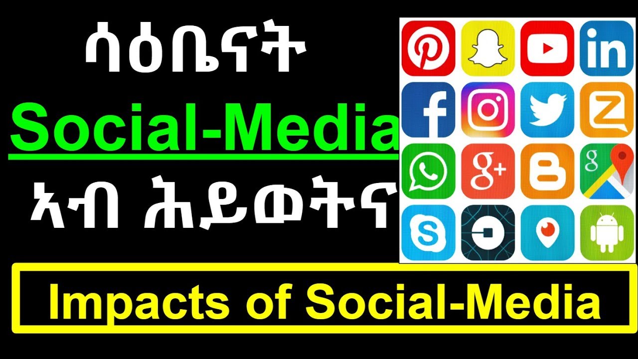 essay role of social media in our life