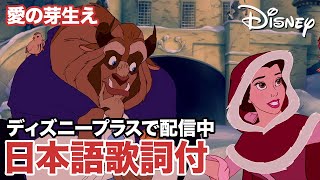 愛の芽生え（Something There）