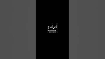 قَالَ لَهُ صَاحِبُهُ وَهُوَ يُحَاوِرُهُ | القارئ احمد نعينع سورة الكهف كروما آيات قرانيه