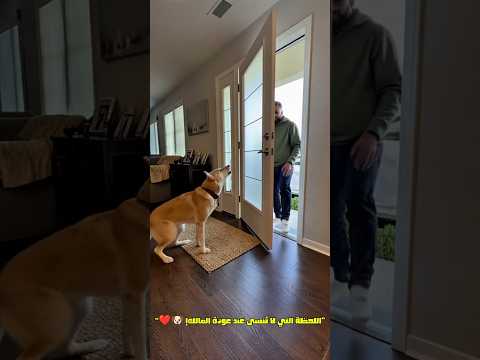 اللحظة التي لا ت نسى عند عودة المالك