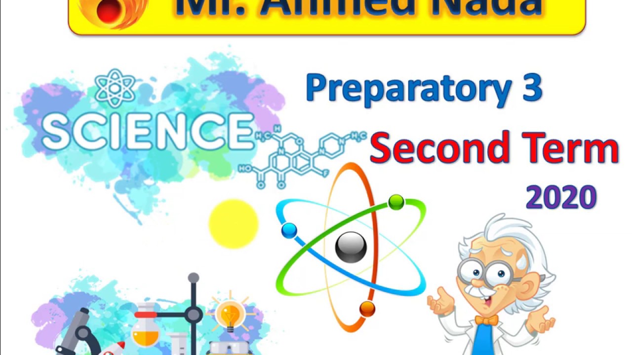 Monster prom 2: monster camp.