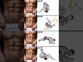 six pack abs exercise video home workout #gym #abs #gymworkout #strongabs #stretch#fitness#abworkout