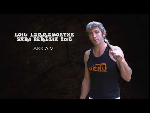 ARRIA V - AIZKORA NORGEHIAGOKA | LOIU LARRAKOETXE SARI BEREZIA (ES)