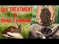 How to Treat Your Soil for Snail Farming