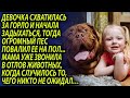 Девочка подобрала бродячую собаку, а позже вся семья остолбенела от того, что произошло