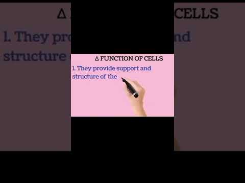 Video: Wat is de primaire functie van de cellulaire ademhalingsquizlet?