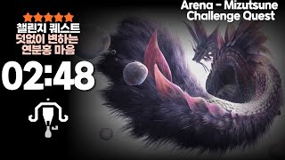 [MHWilds][02:48]  타마미츠네 챌린지 라보 솔플 (덧없이 변하는 연분홍 마음)