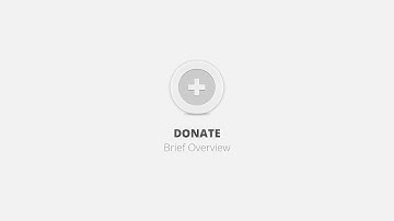 Donate WordPress Plugin - Brief Overview