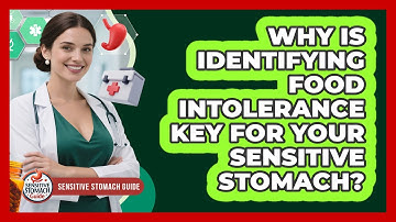 Why Is Identifying Food Intolerance Key For Your Sensitive Stomach? - Sensitive Stomach Guide