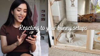 Reacting to your bunny setups! 🤍🐰 by Dumbo and Bear 1,313 views 1 year ago 8 minutes, 8 seconds