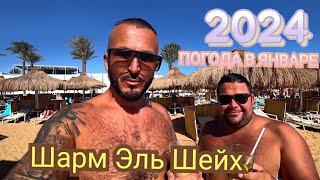 ШАРМ ЭЛЬ ШЕЙХ 🇪🇬 ПОГОДА В ЯНВАРЕ SUNRISE REMAL RESORT 4* ОТЗЫВЫ ТУРИСТОВ О ОТДЫХЕ