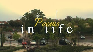 seeing real life as poetry