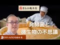 発酵菌と微生物の話　自然派医師田中佳先生、まるみ麹本店山辺社長、発酵料理研究家　四十万つばさ先生との対談です #発酵　#発酵菌　#微生物 #田中佳　#まるみ麹本店