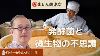 発酵菌と微生物の話　自然派医師田中佳先生、まるみ麹本店山辺社長、発酵料理研究家　四十万つばさ先生との対談です #発酵　#発酵菌　#微生物 #田中佳　#まるみ麹本店