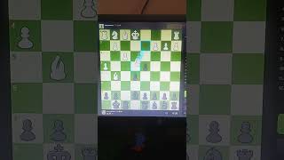 Just A Checkmate Short