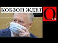 Жириновский сделал лучшую рекламу путинскому шмурдяку
