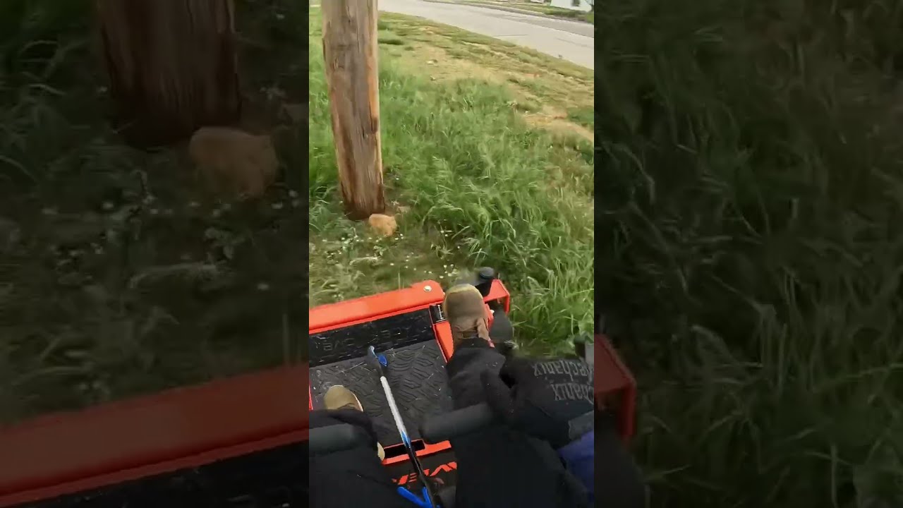 2024 Bad Boy Maverick HD POV