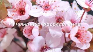 БЫСТРОЕ и ГЛУБОКОЕ РАССЛАБЛЕНИЕ| Медитация🌷-Распускающийся Цветок!#медитация #безслов #расслабление