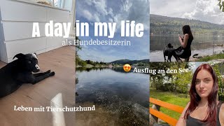 A DAY IN MY LIFE mit Hund: Ausflug an den See & der Alltag mit Tierschutzhund by Kim Jaro 1,453 views 11 months ago 5 minutes, 50 seconds