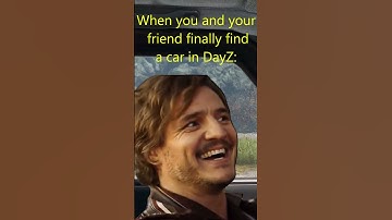 DayZ In A Nutshell #shorts #dayz