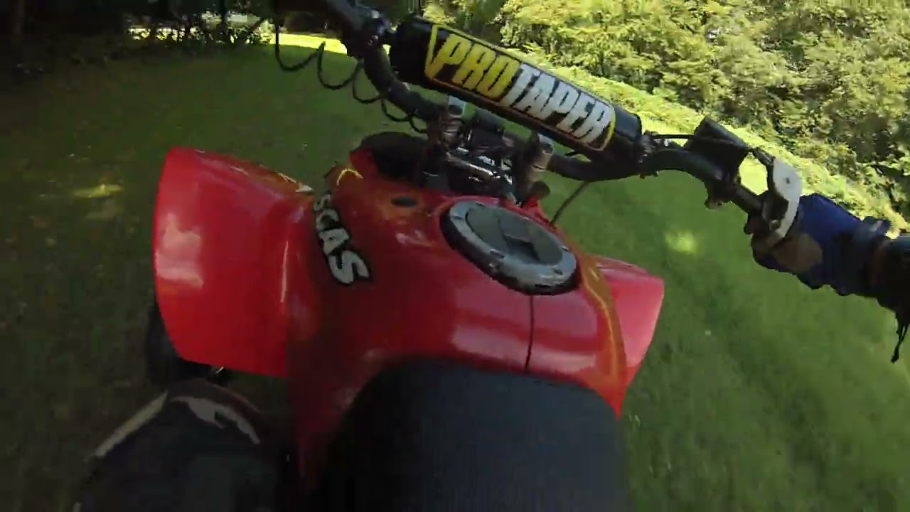 GasGas 300 wild Quad.