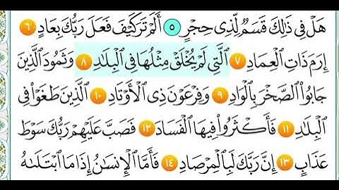 سورة الفجر من ( ٦ الى ١٤ ) مكرر