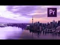 Become a BEAST at Premiere Pro FAST!