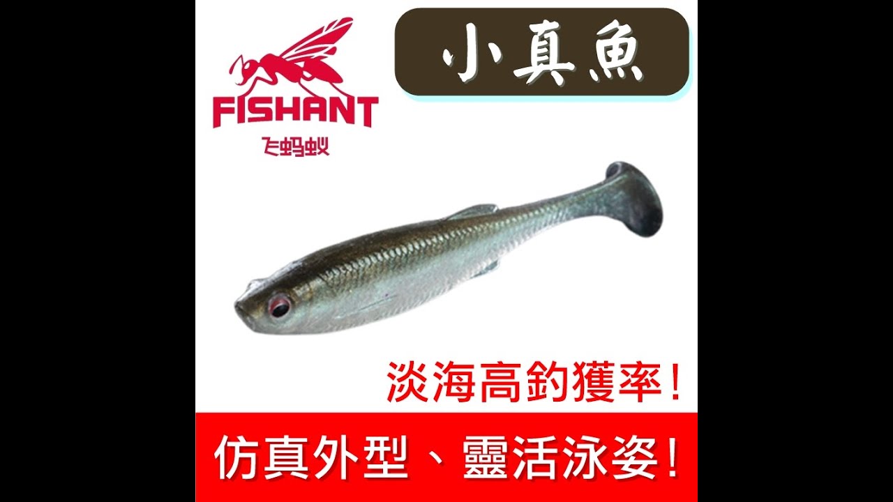 迷你釣具★飛螞蟻【 小真魚 T尾 軟魚 】仿真實小魚外型，３Ｄ仿真魚眼，泳姿佳的靈動尾部設計，飛螞蟻精心製作，具有淡海高釣獲率！