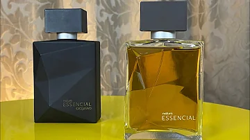 Qual o sinônimo da palavra essencial?