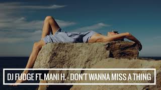 DJ Fudge feat. Mani Hoffman - Don't wanna miss a thing