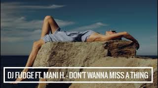 DJ Fudge feat. Mani Hoffman - Don't wanna miss a thing