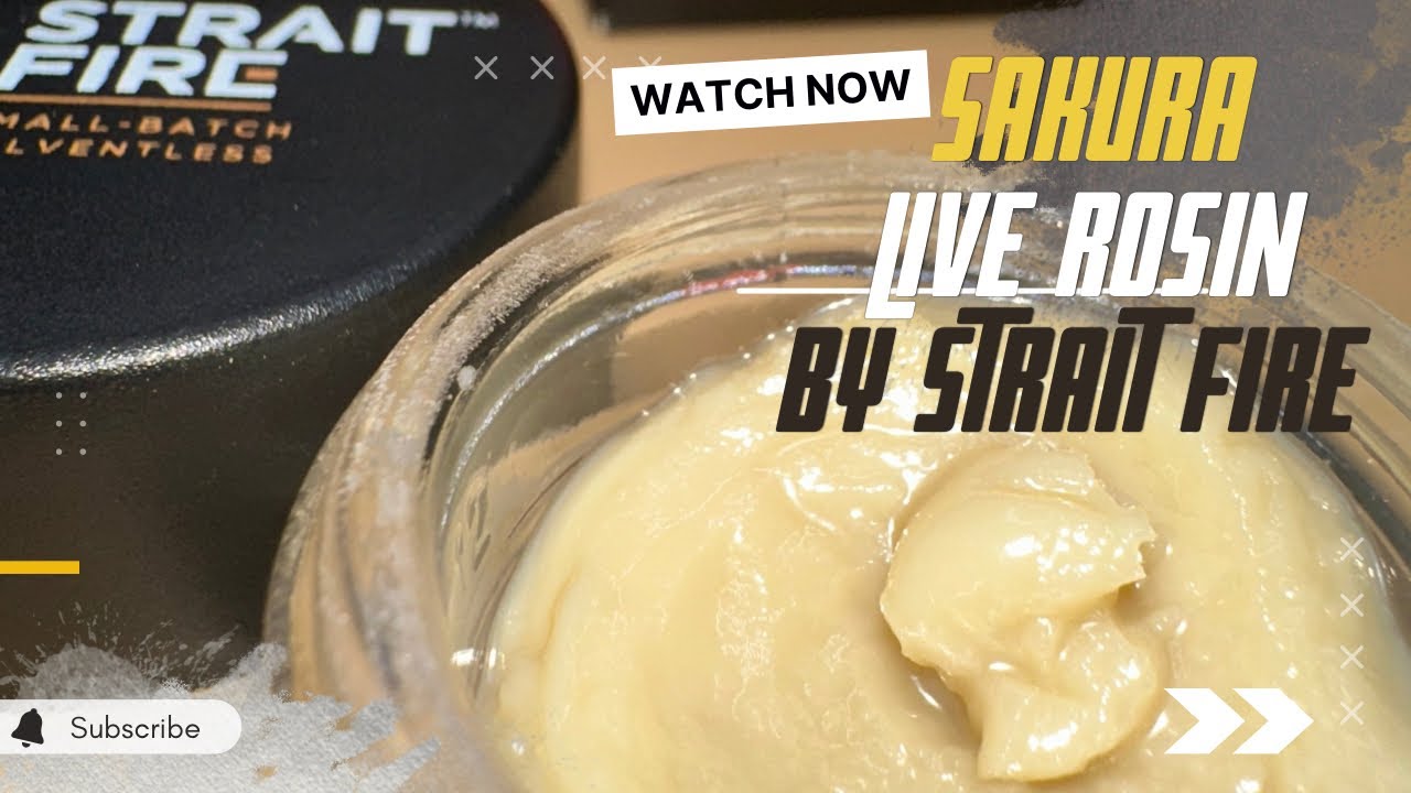 Sakura Live Rosin “Frieghter” Bucket by Strait Fire Review 