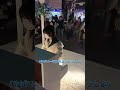 【ストリートピアノ】女の子のお母さんからのリクエストで「あわてん坊のサンタクロース」を即興で応えてみた！