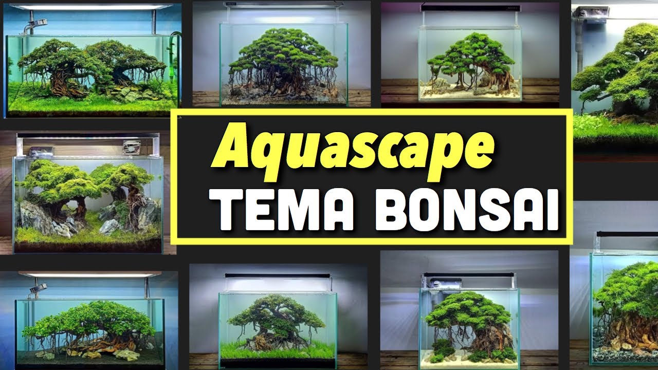 Aquascape Tema Bonsai 25 Idea MENARIK Membuat Bonsai YouTube