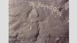 The Young Gods - Did You Miss Me