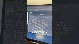 Linux CLI Basics 💻🔥Das war heute mein Thema! #techtok #linux #itsecurity