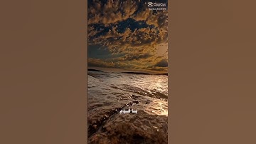 تلاوه من القرآن الكريم سوره غافر بصوت الشيخ محمد المنشاوي