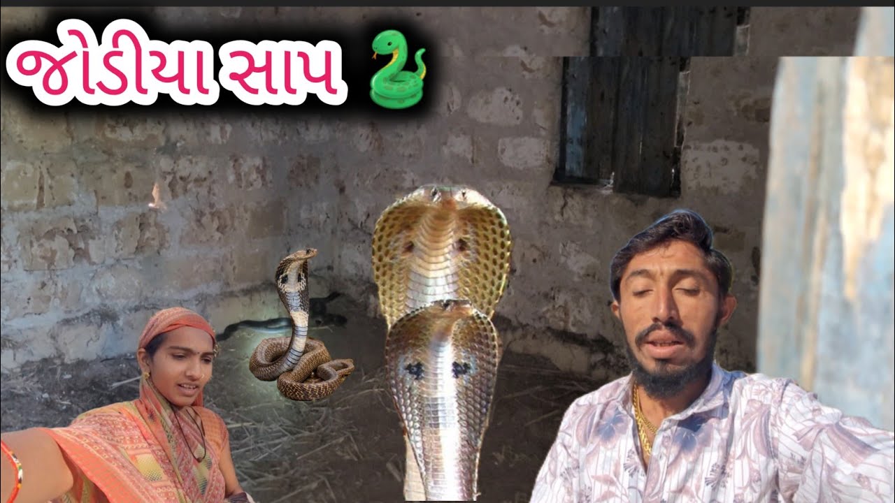 જોડીયા સાપ🐍 રામ માટે નવા કપડા 
