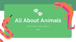 FUN FACTS AND TRIVIA ALL ABOUT ANIMALS I Erudite Studio